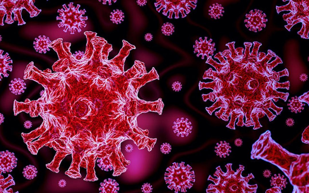 Test immunologici per l’identificazione di anticorpi IgM,IgG verso SARS-CoV-2 (CoviD19)